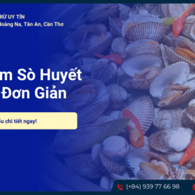 Sò huyết hấp bia