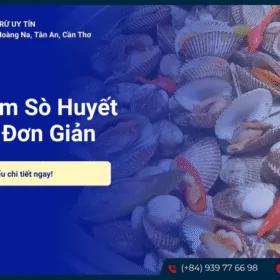 Sò huyết hấp bia