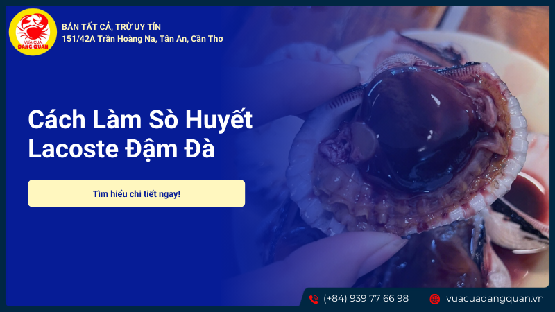 Sò huyết lacoste