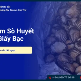 Sò huyết nướng giấy bạc