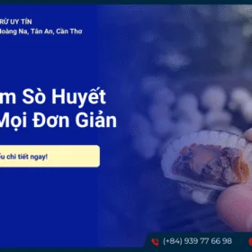 Sò huyết nướng mọi