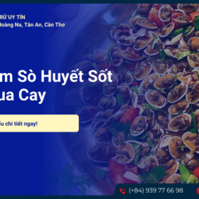 Sò huyết sốt Thái