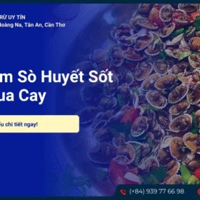 Sò huyết sốt Thái