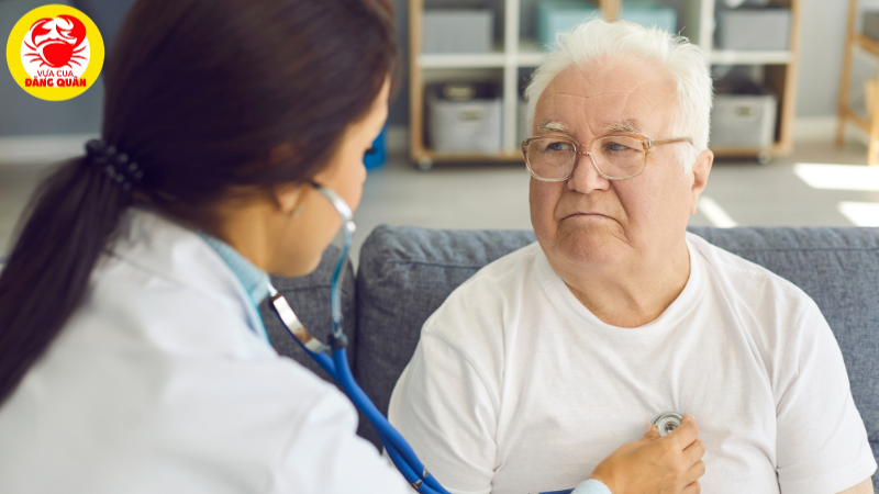 Sò huyết tốt cho sức khỏe tim mạch Sò huyết tốt cho sức khỏe tim mạch