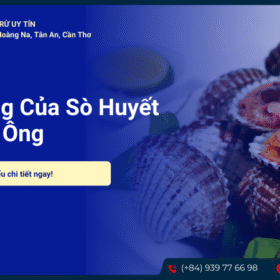 Tác dụng của sò huyết với đàn ông