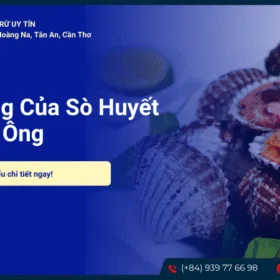 Tác dụng của sò huyết với đàn ông