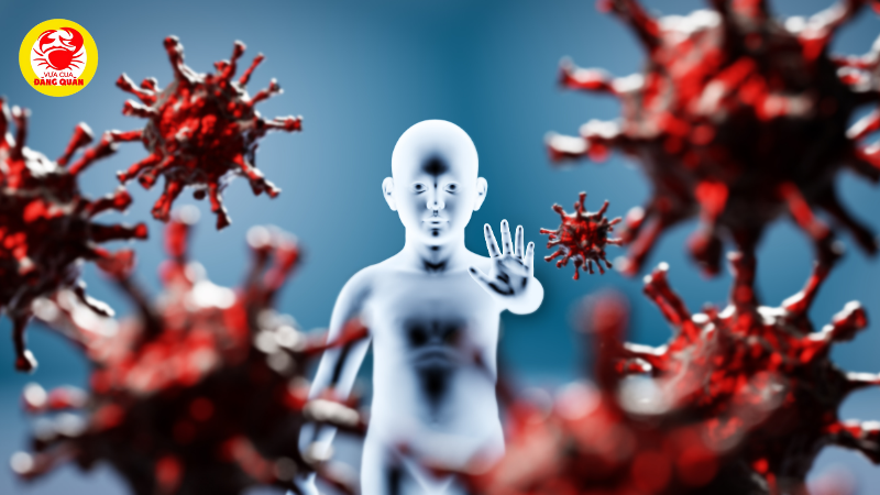 Tăng cường hệ miễn dịch Tăng cường hệ miễn dịch