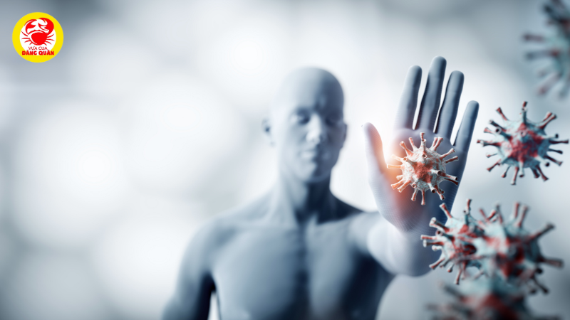 Tăng cường hệ miễn dịch và bảo vệ tim mạch