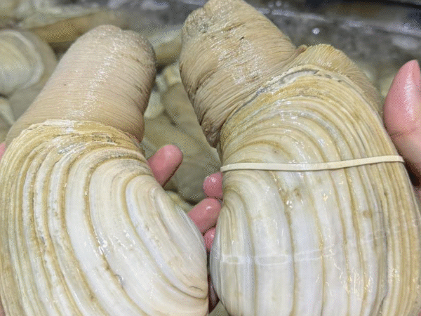 Thần dược cho phái mạnh