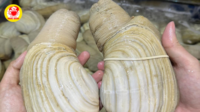 Thần dược cho phái mạnh Thần dược cho phái mạnh