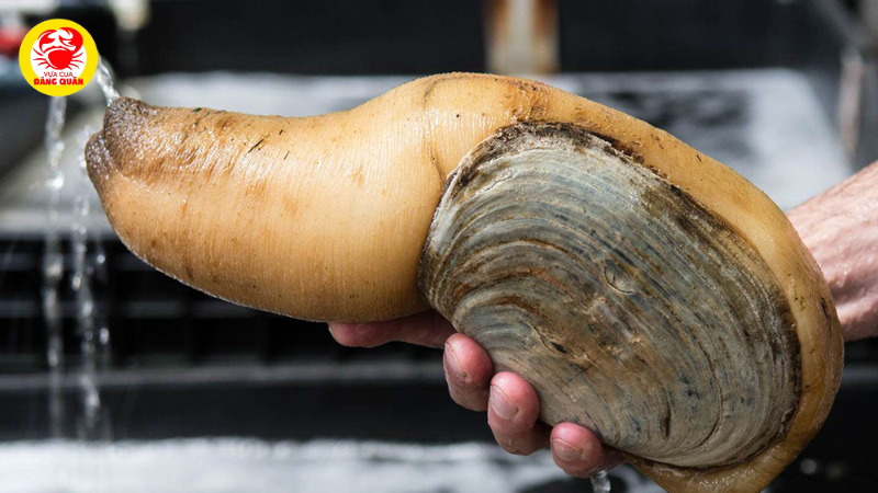 Phân tích thành phần dinh dưỡng Phân tích thành phần dinh dưỡng