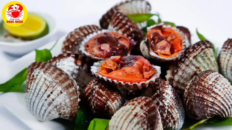 Thành phần dinh dưỡng của sò huyết