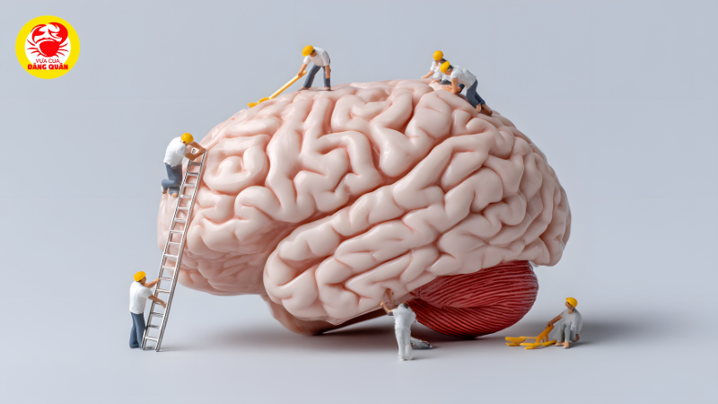 Thúc đẩy sự phát triển trí não toàn diện của thai nhi