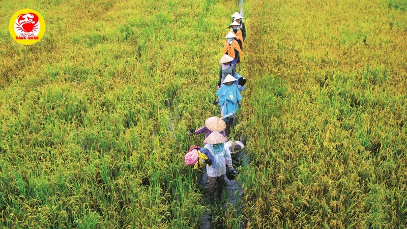 Tín ngưỡng nông nghiệp