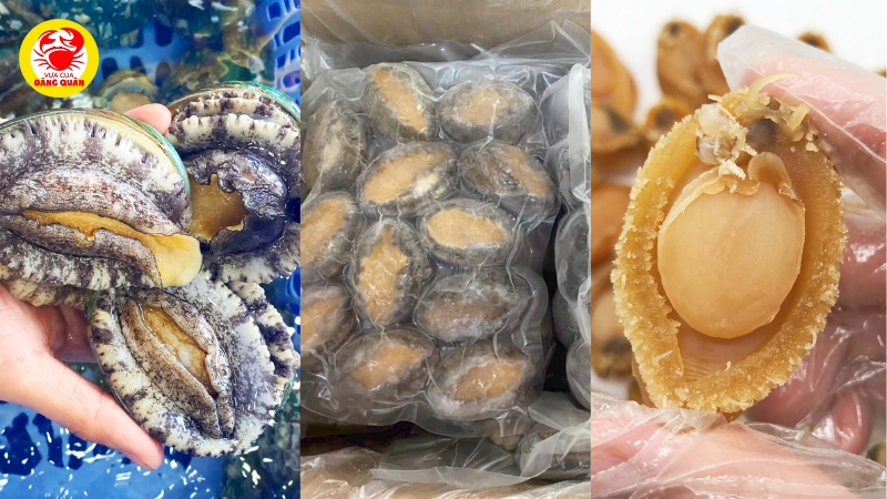 Tình trạng của bào ngư (tươi sống, đông lạnh, khô) Tình trạng của bào ngư (tươi sống, đông lạnh, khô)