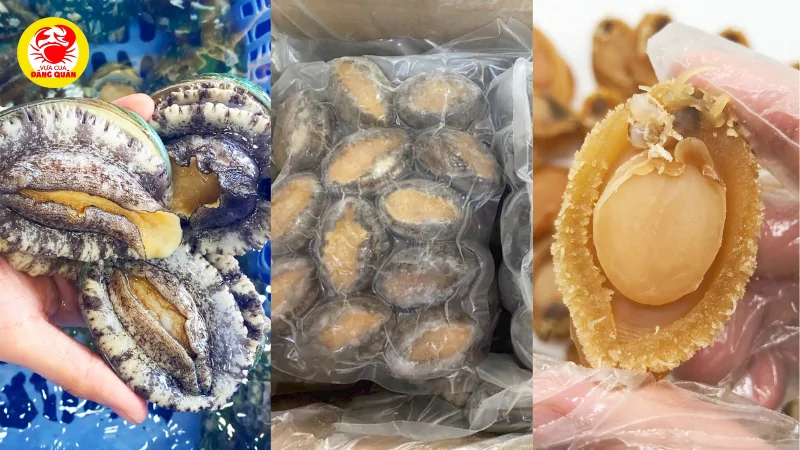 Tình trạng của bào ngư (tươi sống, đông lạnh, khô)