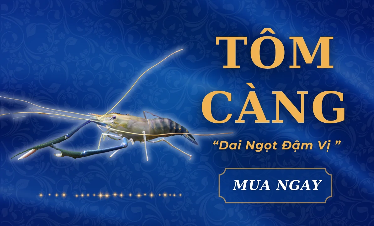 Tôm càng banner