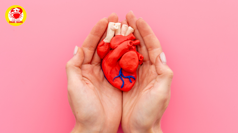 Tốt cho sức khỏe tim mạch Tốt cho sức khỏe tim mạch