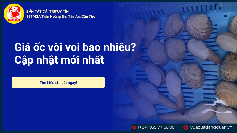 Tu hài và ốc vòi voi