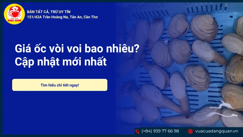 Tu hài và ốc vòi voi