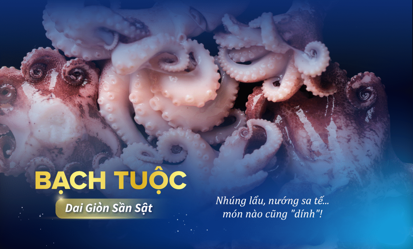 Bạch tuộc dai giòn giật giật