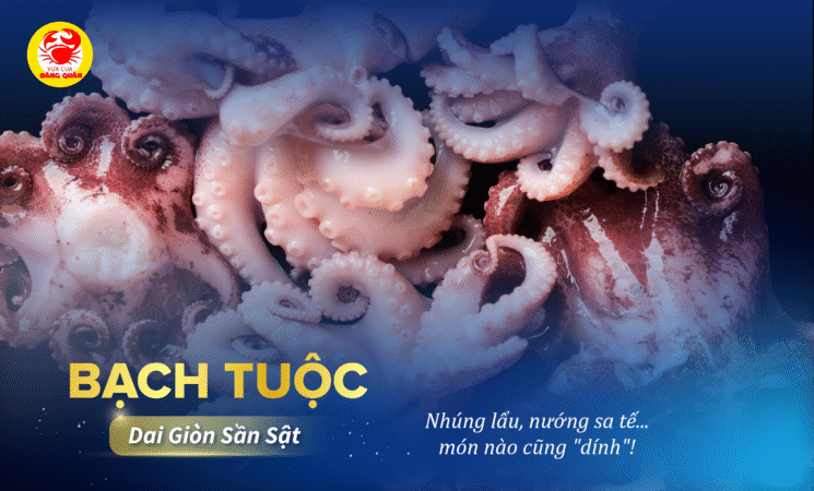 Bạch tuộc dai giòn sật sật