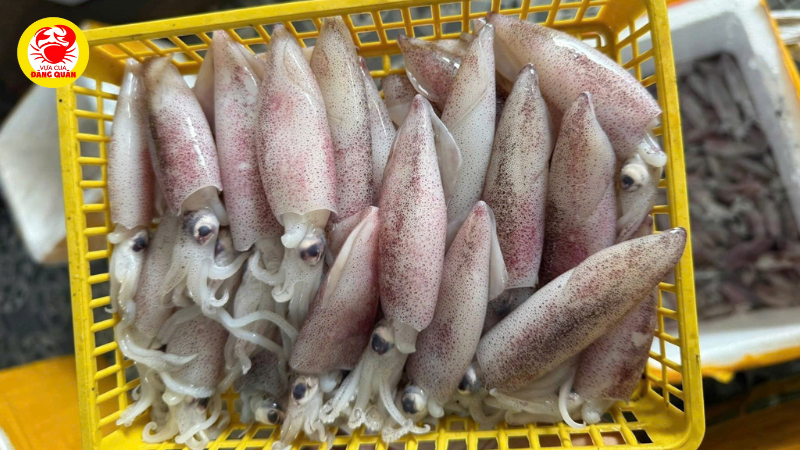 Bảng giá mực ống tham khảo mới nhất