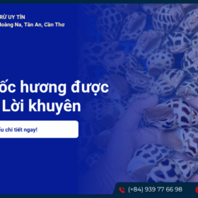Bầu ăn ốc hương được không? Lời khuyên từ chuyên gia