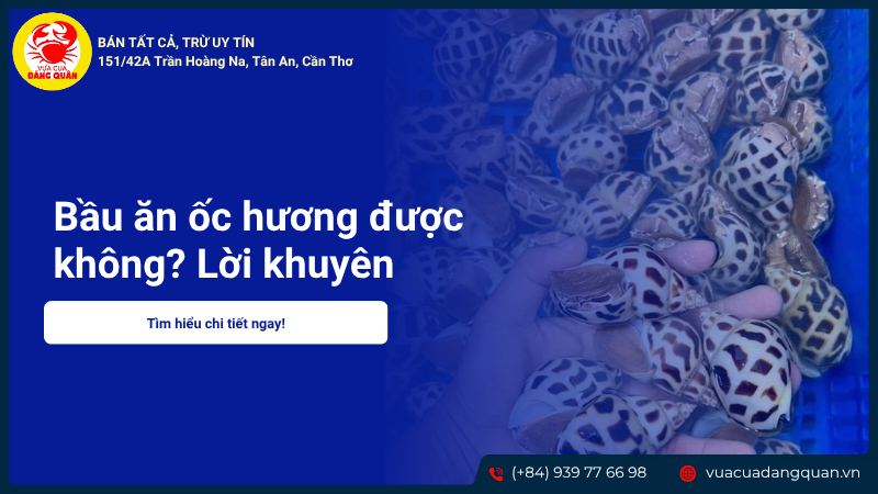 Bầu ăn ốc hương được không? Lời khuyên từ chuyên gia