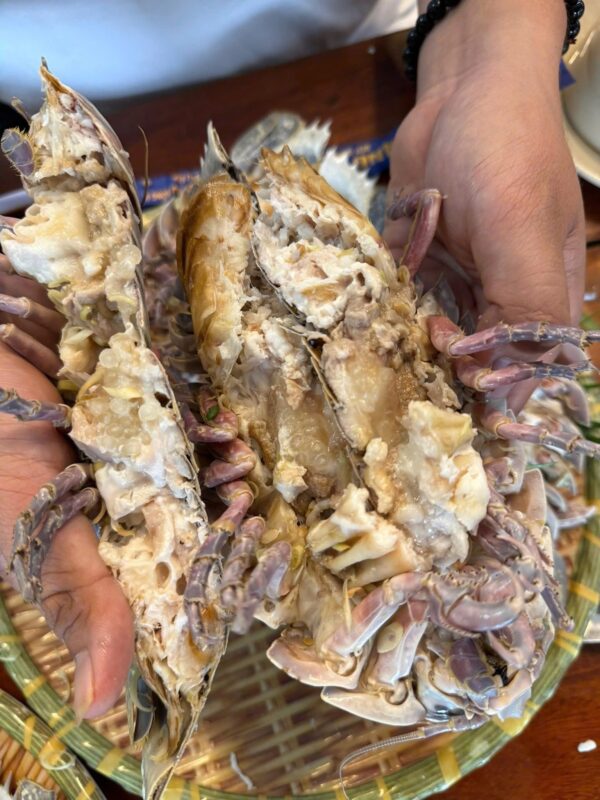 Bọ biển tươi sống
