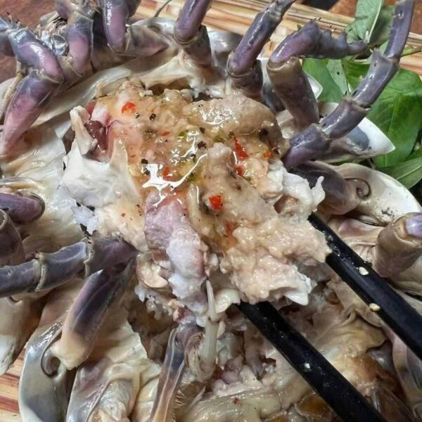 Bọ biển tươi sống