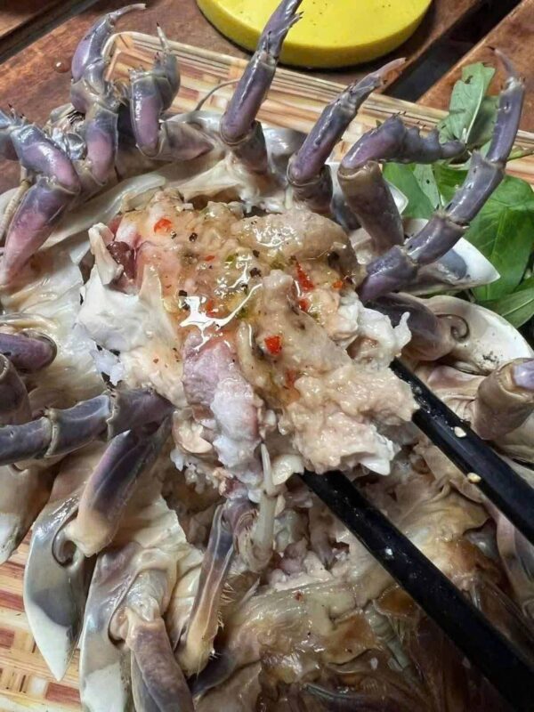 Bọ biển tươi sống