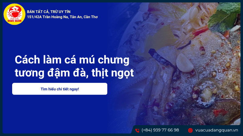 Cách làm cá mú chưng tương đậm đà, thịt ngọt mềm tan trong miệng