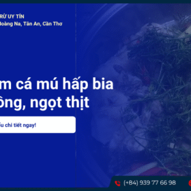 Cách làm cá mú hấp bia thơm nồng, ngọt thịt không tanh đơn giản tại nhà