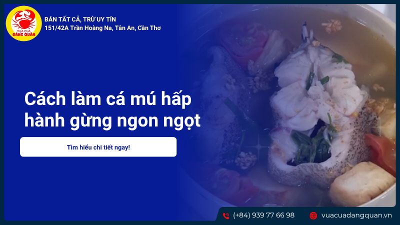 Cách làm cá mú hấp hành gừng ngon ngọt chiêu đãi gia đình