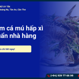 Cách làm cá mú hấp Hồng Kông thơm ngon như nhà hàng tại nhà