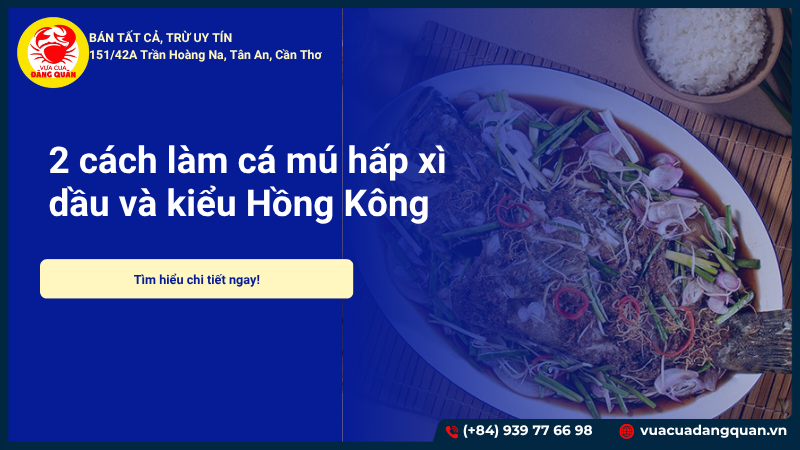 2 cách làm cá mú hấp xì dầu và kiểu Hồng Kông ngon như nhà hàng