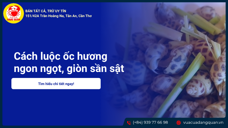 Cách luộc ốc hương ngon ngọt, giòn sần sật, không tanh