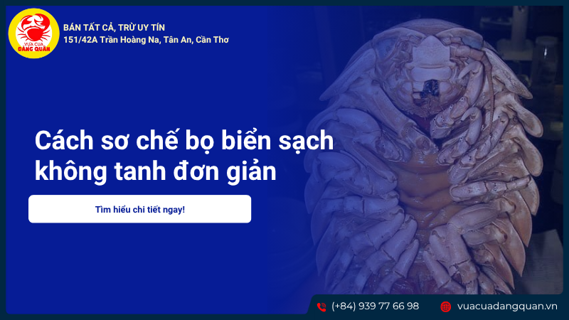 Cách sơ chế bọ biển sạch không tanh đơn giản tại nhà