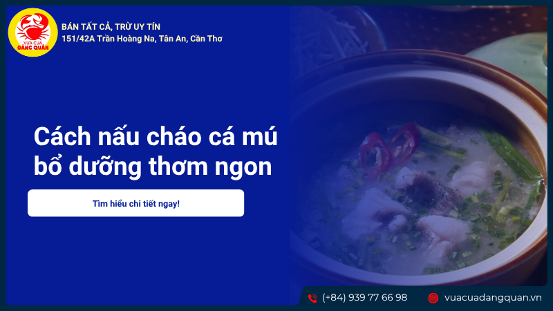 Cách nấu cháo cá mú bổ dưỡng thơm ngon không tanh đơn giản tại nhà