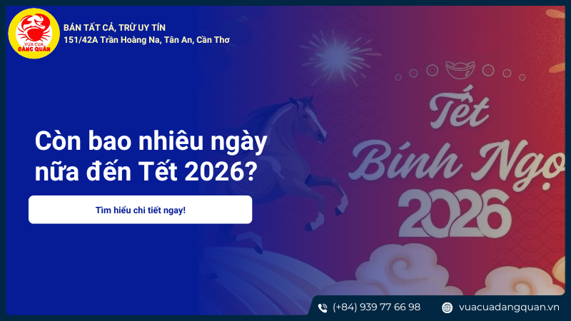 Còn bao nhiêu ngày nữa đến Tết 2026? Đếm ngược Tết Bính Ngọ
