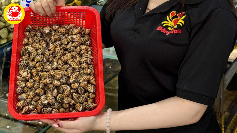Vựa Cua Đăng Quân - Lựa chọn số 1 cho người sành ăn