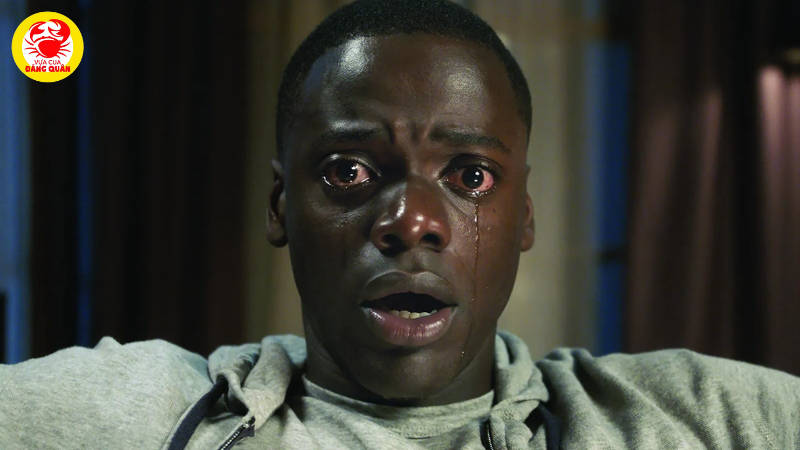 Get Out (2017) - Trốn Thoát