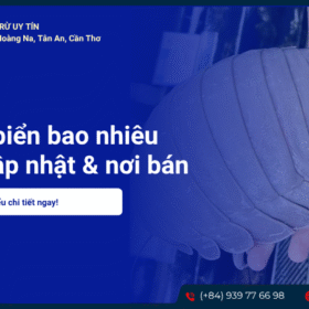 Giá bọ biển bao nhiêu 1kg? Cập nhật & nơi bán uy tín nhất