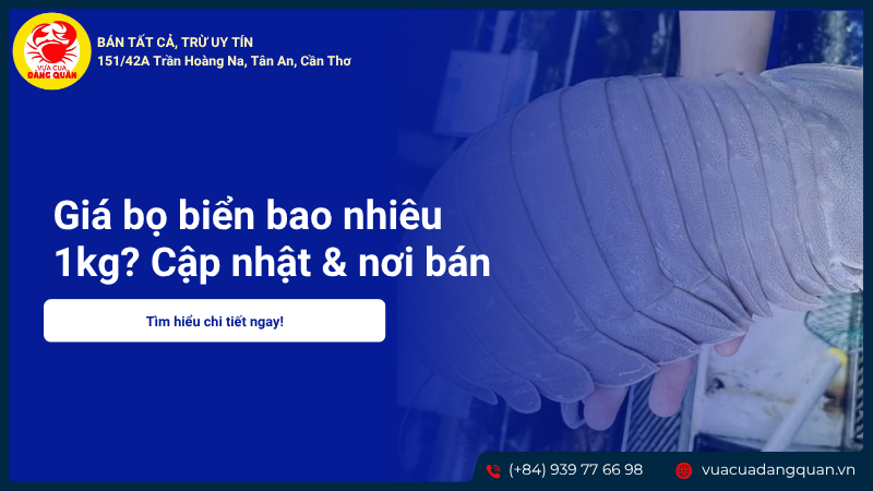 Giá bọ biển bao nhiêu 1kg? Cập nhật & nơi bán uy tín nhất