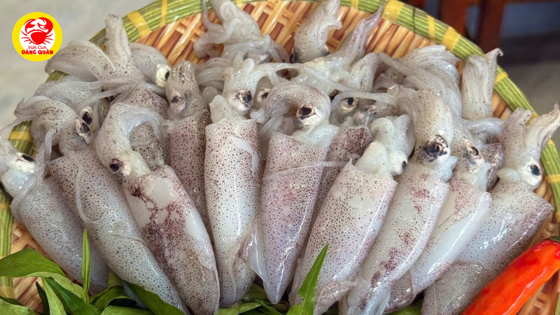 Cập nhật giá mực ống tươi trên thị trường hiện nay
