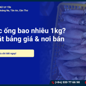 Giá mực ống bao nhiêu 1kg? Cập nhật bảng giá & nơi bán uy tín