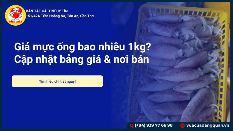 Giá mực ống bao nhiêu 1kg? Cập nhật bảng giá & nơi bán uy tín