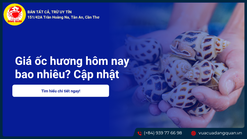 Giá ốc hương hôm nay bao nhiêu? Cập nhật bảng giá mới nhất