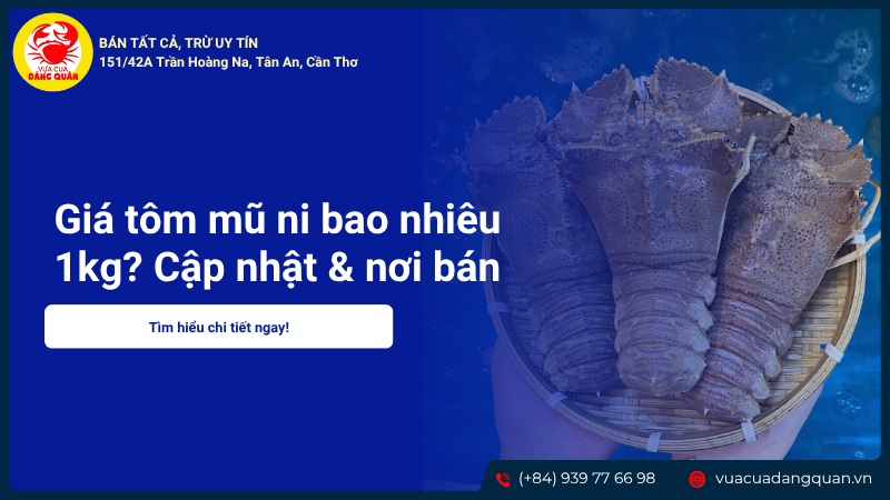 Giá tôm mũ ni bao nhiêu 1kg? Cập nhật & nơi bán uy tín nhất